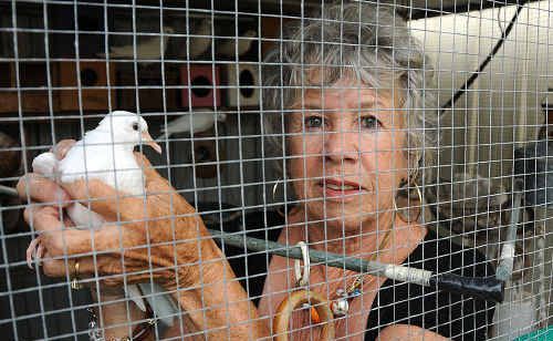 Joan Andrews in her Dawn aviary with one of her doves. Ms Andrews had 22 finches go missing in one night from the same aviary. Joan Andrews in her Dawn aviary with one of her doves. Ms Andrews had 22 finches go missing in one night from the same aviary.